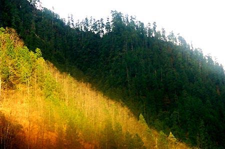 �ġ����蹱ɽ-ŭ��̽�ա����߽������Ļ���԰(ŭ��)