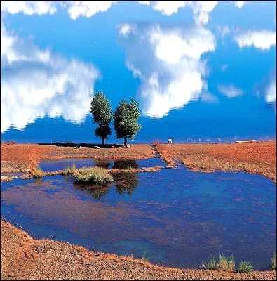 ʮ�������Ů����̽��--Ѱ������ķ�������(̽�յأ������)