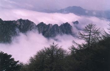 �ߡ����롪����Խ�й�������ϱ��ֽ���(����)