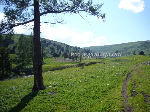 �½�����