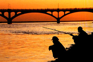 �½�����