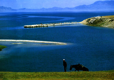 �½�����