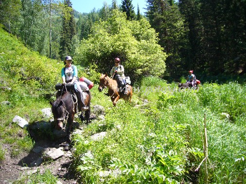 �½�����