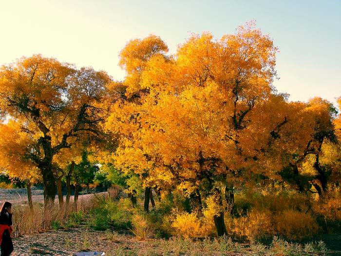 �½�����