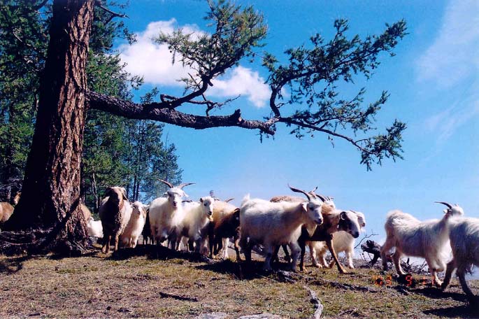 �½�����