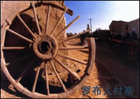 lbr_1.jpg (27441 �ֽ�)