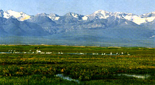 stone_city.jpg (20447 �ֽ�)