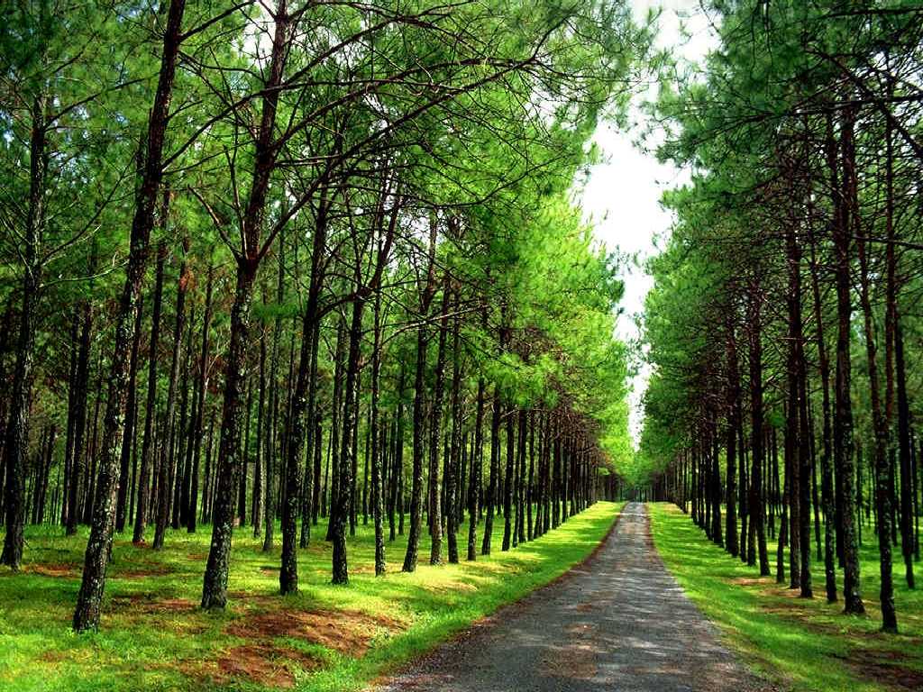 昌吉回族自治州风景图