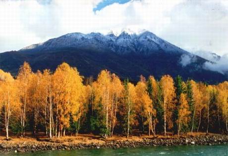 白哈巴国家森林公园风景图