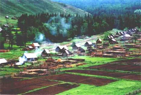 白哈巴国家森林公园风景图