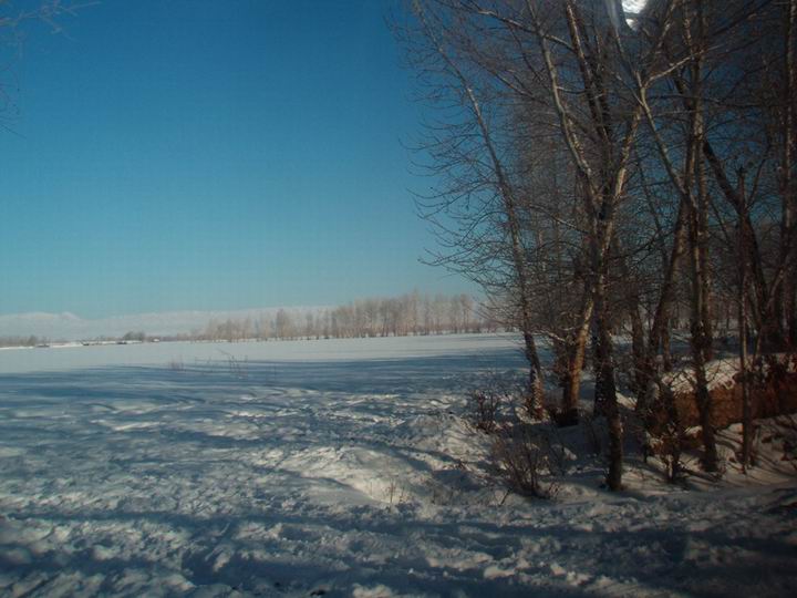 白哈巴国家森林公园风景图