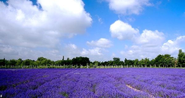 ����֮��