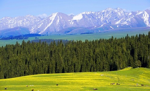 ������,��������ԭ