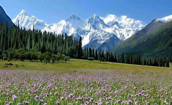 ���� ����