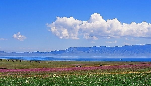 ����ľ�� ����ľ��ͼƬ