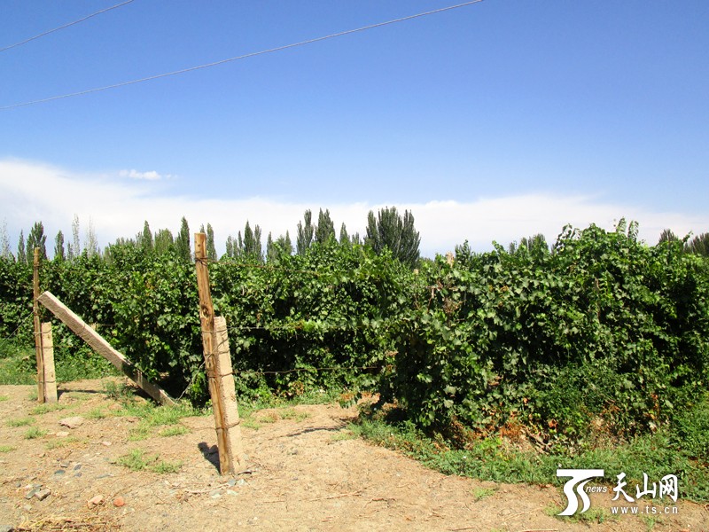 ȫ��������ý�½������½�۷��̽��¥�����Ѿ��Ļ�