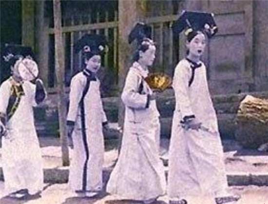 ����������Ե��ȫ�й���ֲ���ʮ�����ν���