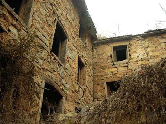 ����������Ե��ȫ�й���ֲ���ʮ�����ν���