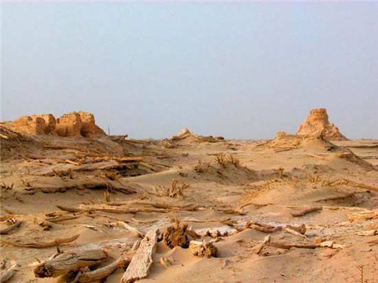 ����������Ե��ȫ�й���ֲ���ʮ�����ν���