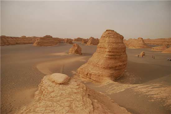 ����������Ե��ȫ�й���ֲ���ʮ�����ν���