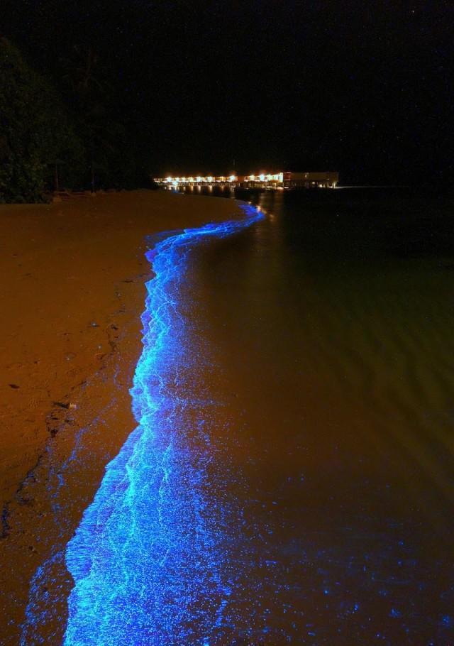 ���������ǿ�ɳ̲