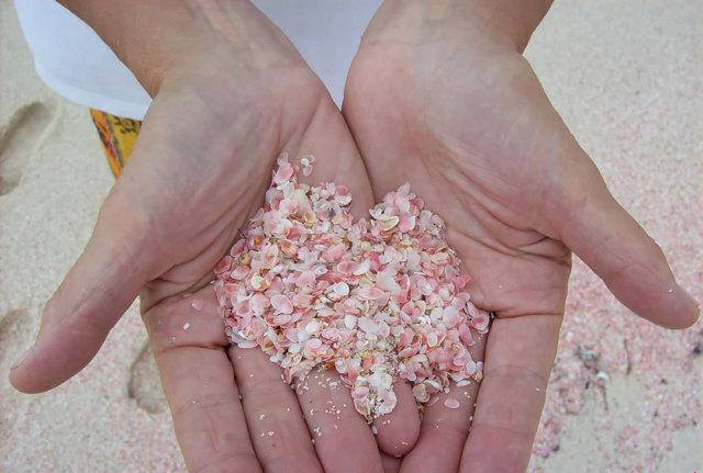 �͹����ۺ�ɳ̲