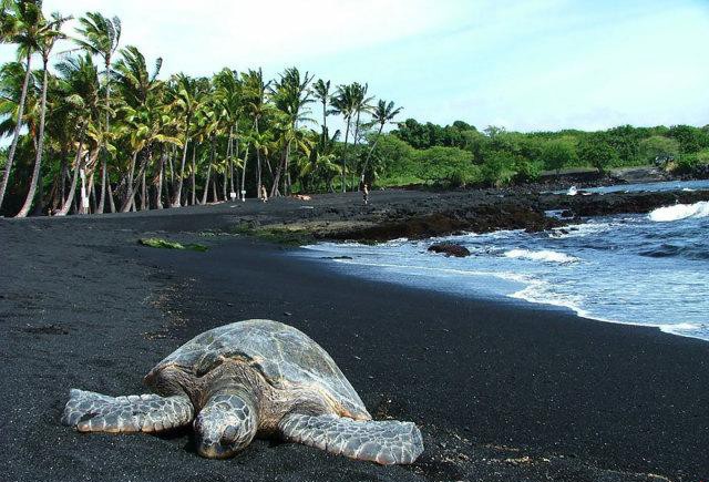 ����������³���ɳ̲