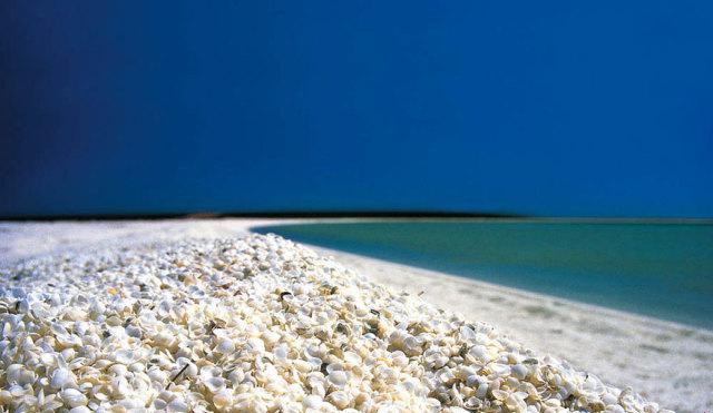 �Ĵ����������屴��̲