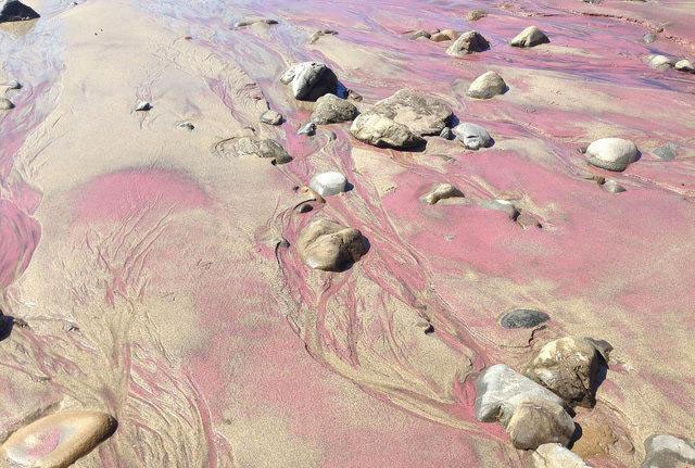 �������ݴ��ն��ķƷ��Ϻ�̲