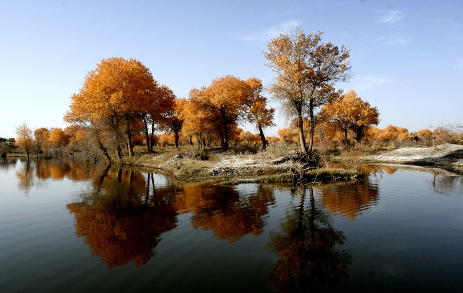 ���ս�����