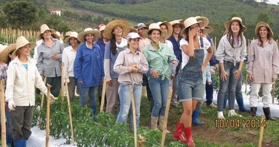 �����ϲ���˼���6�����У���Ȼ�������Ĵ��ڣ�