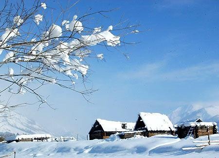 喀纳斯滑雪场
