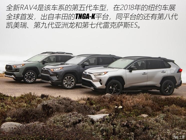 丰田(进口) 丰田RAV4(进口) 2019款 基本型 丰田(进口) 丰田RAV4(进口) 2019款 基本型